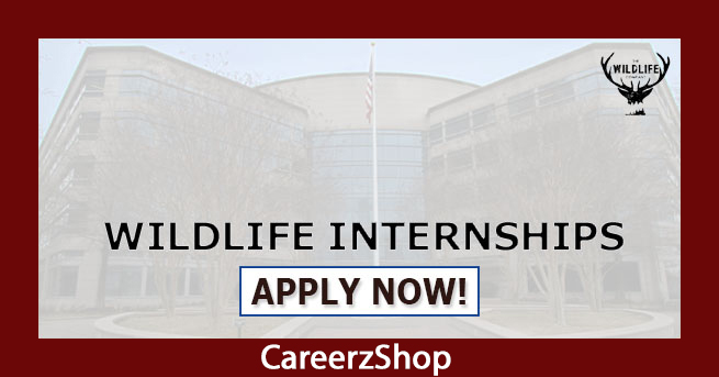 Wildlife Internship